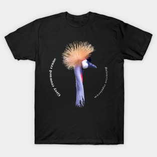 Grey crowned crane tropical bird pin white text T-Shirt